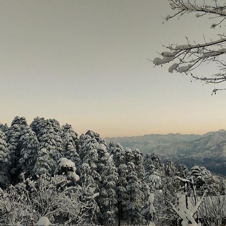 Black Bear Cottage Khajjiar Luaran gambar
