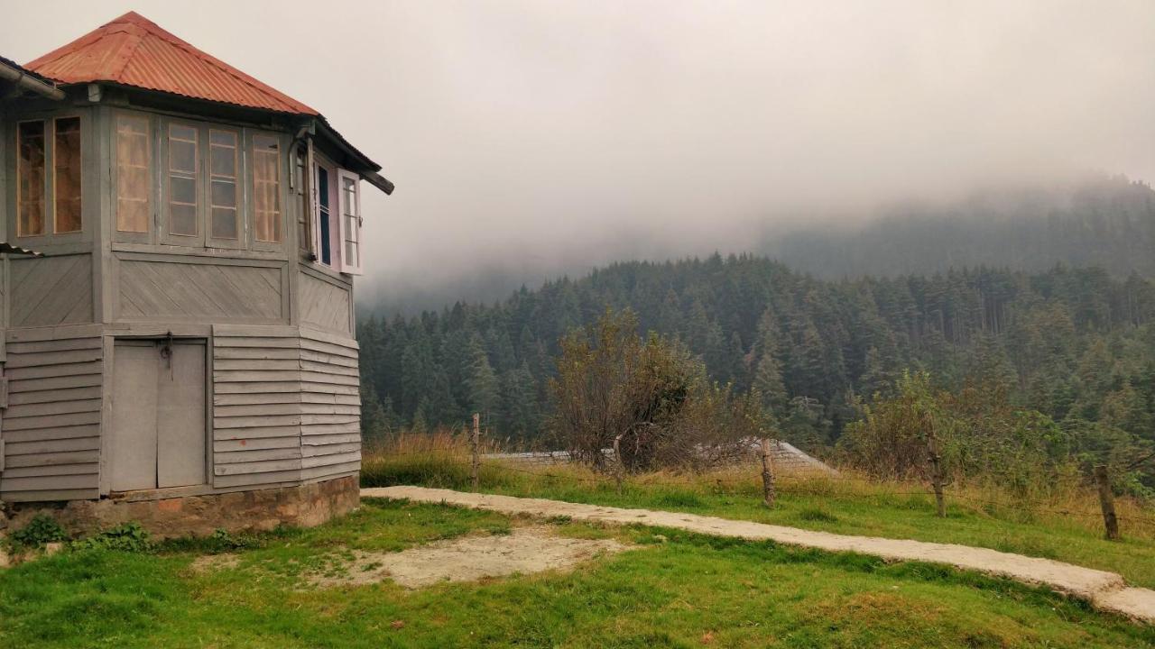 Black Bear Cottage Khajjiar Luaran gambar