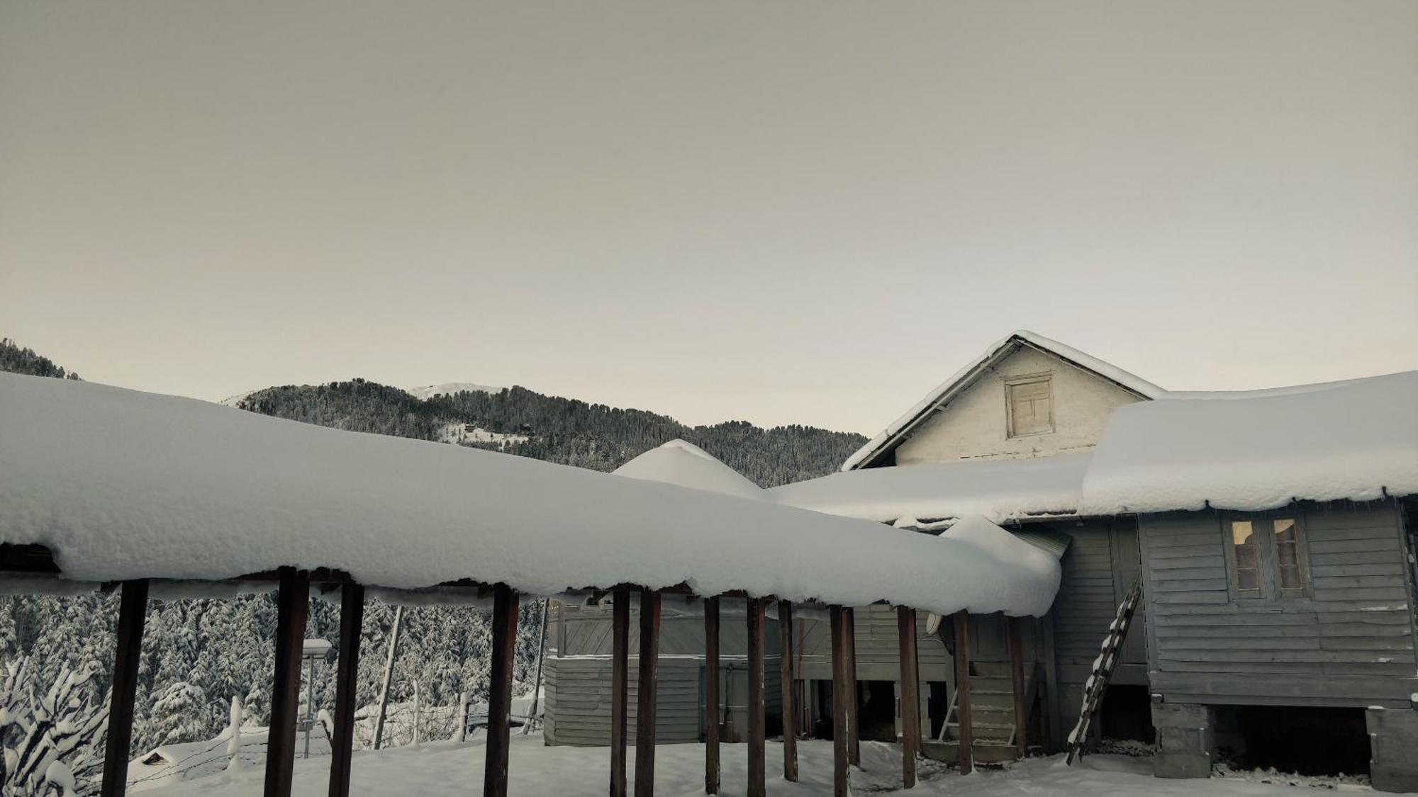 Black Bear Cottage Khajjiar Luaran gambar