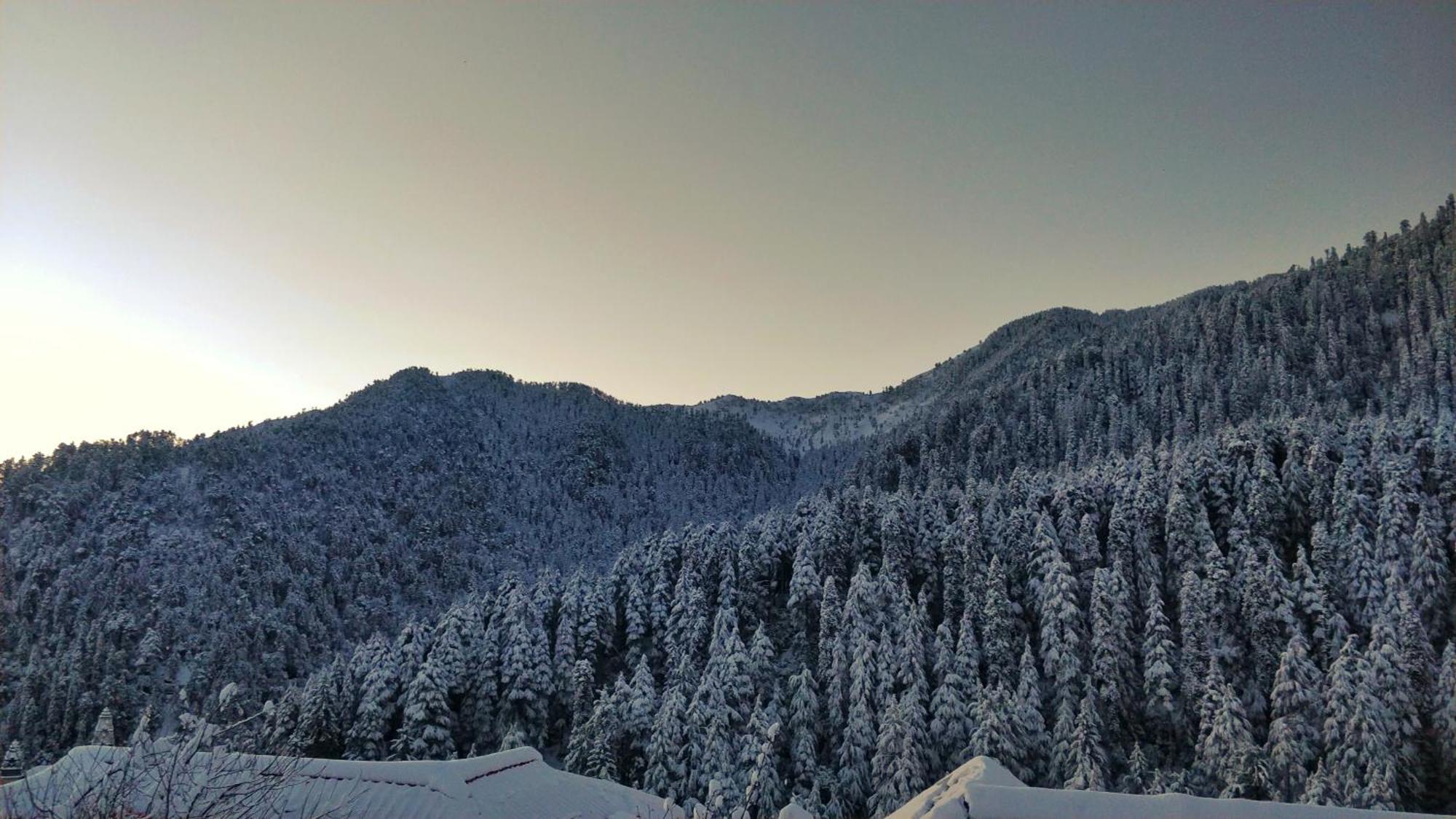 Black Bear Cottage Khajjiar Luaran gambar