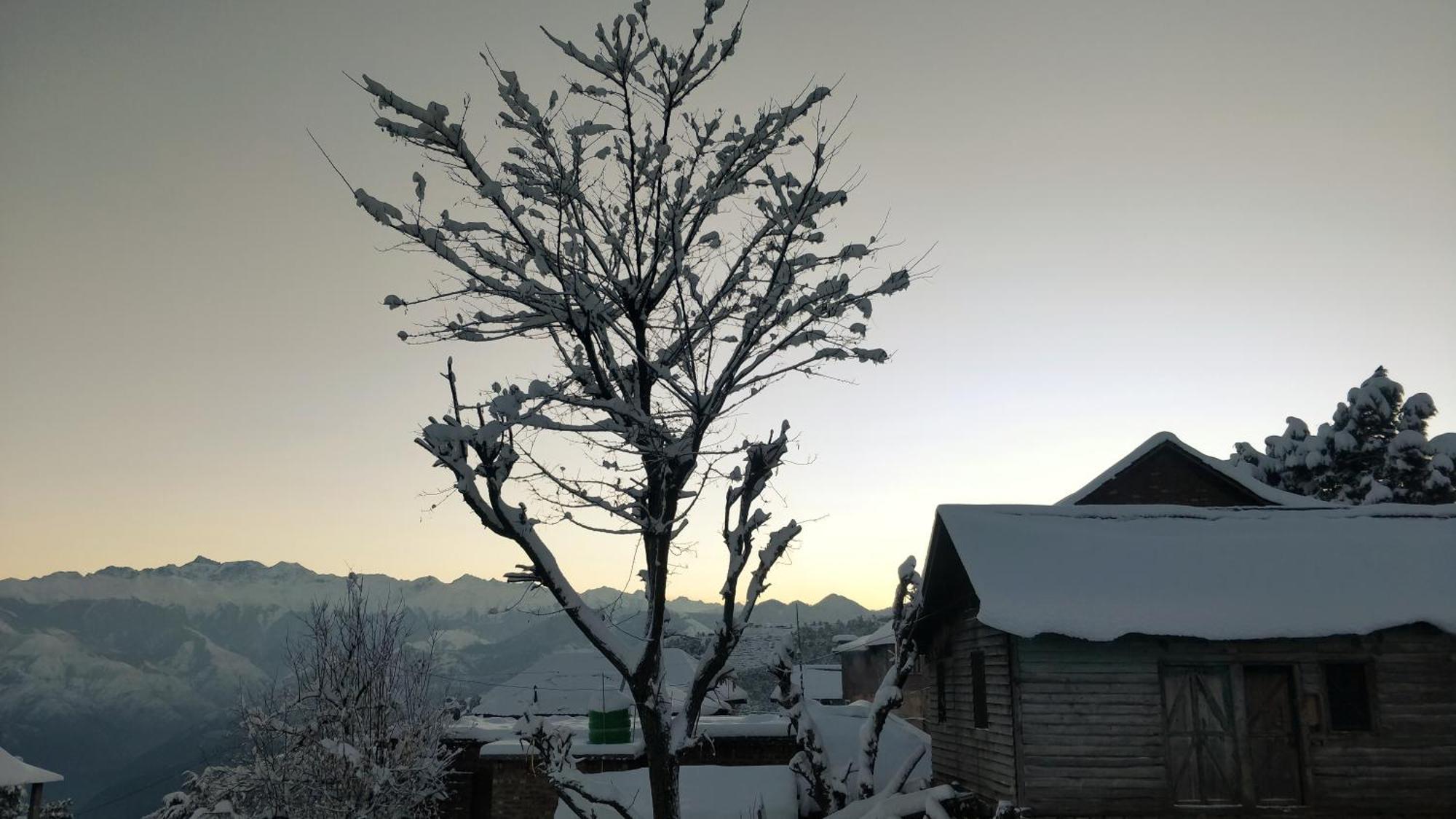 Black Bear Cottage Khajjiar Luaran gambar
