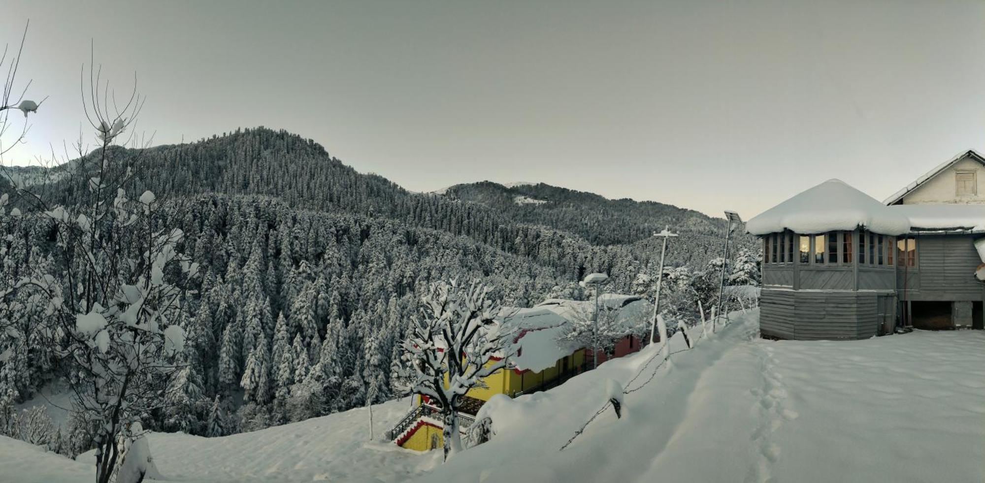Black Bear Cottage Khajjiar Luaran gambar