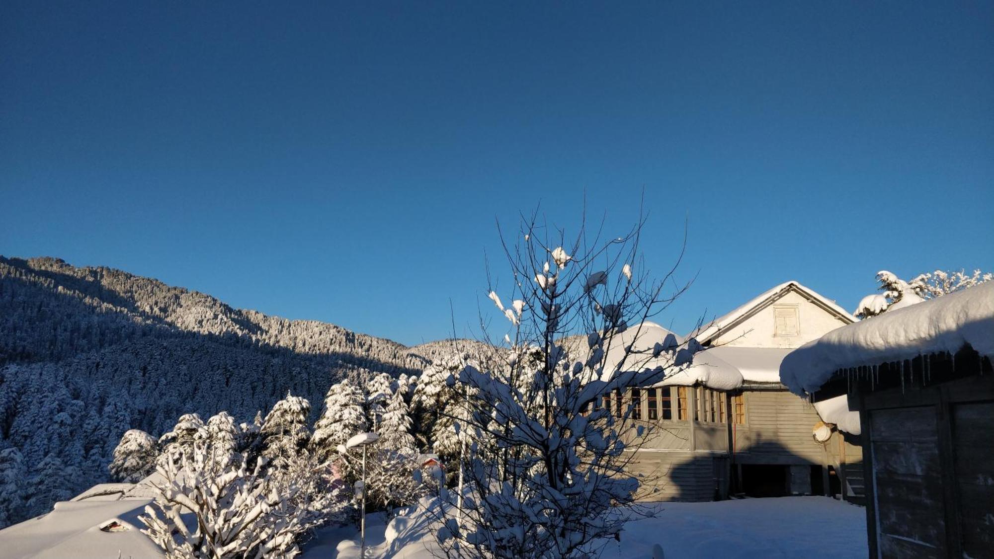 Black Bear Cottage Khajjiar Luaran gambar